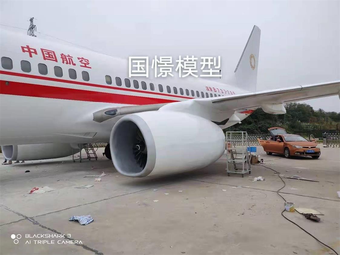 密山市飞机模型