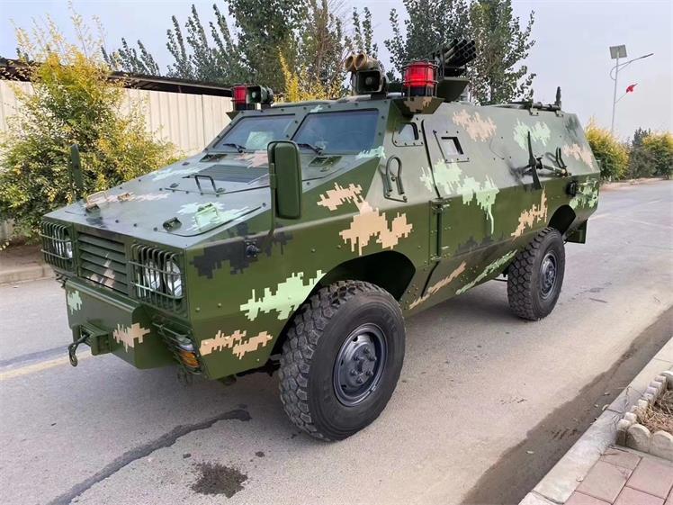 密山市军事模型